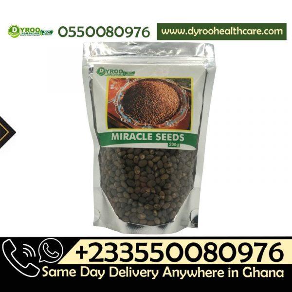 Miracle Seeds in Ghana