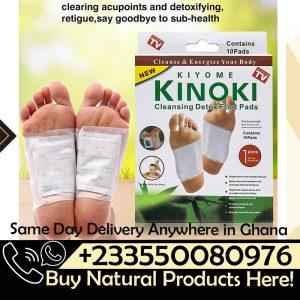 Kiyome Kinoki Detox Foot Pads