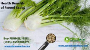 Health Benefits of Fennel Seeds