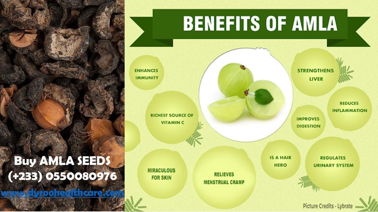 Health Benefits Of Amla Seeds