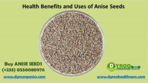 Health Benefits and Uses of Anise Seeds