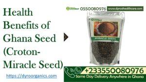 Health Benefits of Croton Seeds